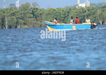 Fischer in der Lagune von Negambo, Sri Lanka. Besuchen Sie Sri Lanka Stockfoto