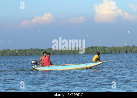 Fischer in der Lagune von Negambo, Sri Lanka. Besuchen Sie Sri Lanka Stockfoto