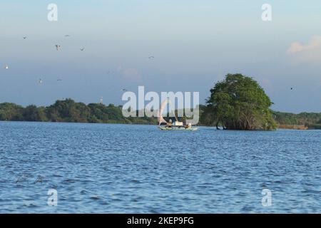 Fischer in der Lagune von Negambo, Sri Lanka. Besuchen Sie Sri Lanka Stockfoto