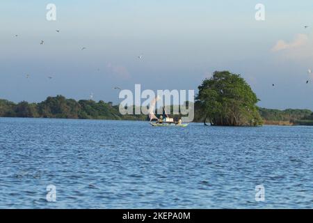 Fischer in der Lagune von Negambo, Sri Lanka. Besuchen Sie Sri Lanka Stockfoto