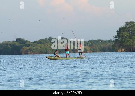 Fischer in der Lagune von Negambo, Sri Lanka. Besuchen Sie Sri Lanka Stockfoto