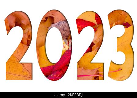 Herbstblätter, Objekte mit der Nummer 2023. Natürliche Muster, Farbdesign. Stockfoto