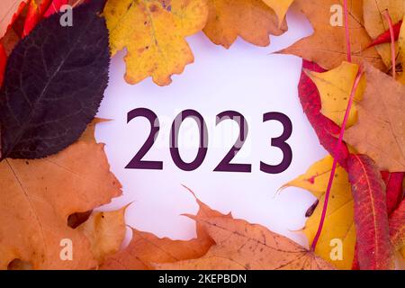 Herbstblätter, Objekte mit der Nummer 2023. Natürliche Muster, Farbdesign. Stockfoto