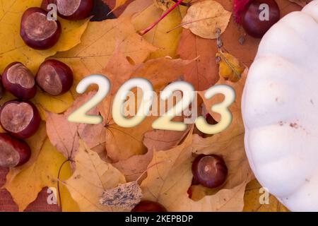 Herbstblätter, Objekte mit der Nummer 2023. Natürliche Muster, Farbdesign. Stockfoto