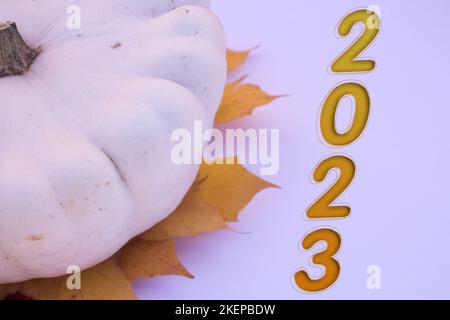 Herbstblätter, Objekte mit der Nummer 2023. Natürliche Muster, Farbdesign. Stockfoto