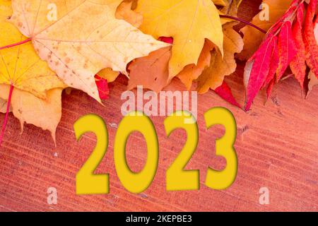 Herbstblätter, Objekte mit der Nummer 2023. Natürliche Muster, Farbdesign. Stockfoto