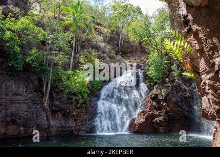 Florence Falls im Litchfield National Park besteht aus zwei Wasserfällen und einem runden Tauchbecken mit einem Durchmesser von rund 30 Metern am Florence Creek Stockfoto