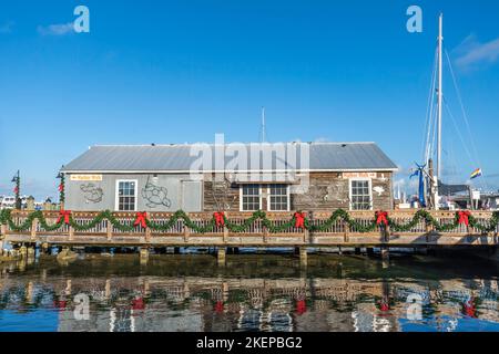 Weihnachtsgirlande und von Meeresgeschöpfen beleuchtete Figuren schmücken ein altes Marina-Gebäude im Hafen von Key West Florida. Stockfoto