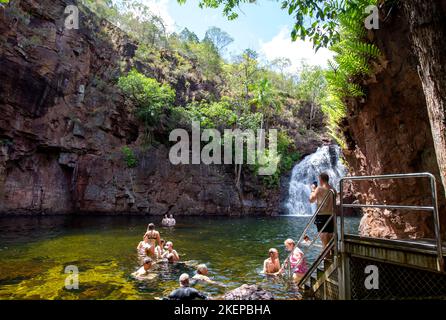 Touristen, die ein erfrischendes Bad im Florence Falls Waterhole im Litchfield National Park, Northern Territory, Australien, genießen Stockfoto