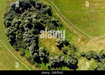 Luftaufnahme aus einer hohen Höhe der sumpfigen befestigten Siedlung Ogubskoe im Bezirk Schukowski, Kaluga, Russland Stockfoto