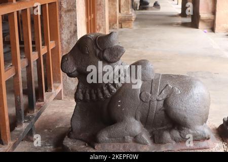 Ein schwarzer Nandi wird häufig in hinduistischen Tempeln gefunden. Stockfoto