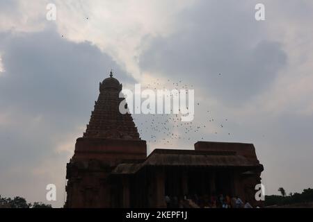 Der Tanjore Brihadeeswara Tempel sieht abends im Dunkeln wunderschön aus. Stockfoto
