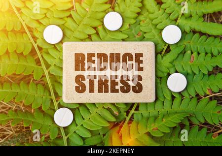 Medizinkonzept. Auf einem grünen Blatt der Pflanze sind Pillen und ein Schild mit der Aufschrift - STRESS REDUZIEREN Stockfoto