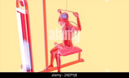 Abstrakte 3D-Kunst eines Mannes auf dem Lat Pulldown Maschine Stockfoto