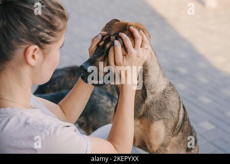 Junge lächelnde Frau, die mit ihrem Hund im Hinterhof spielt, kuschelt ihr Haustier. Tiergesicht. Straßenhund-Porträt. Nahaufnahme Porträt. Sommer Natur. Stockfoto