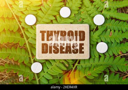 Medizinkonzept. Auf einem grünen Blatt der Pflanze sind Pillen und ein Schild mit der Aufschrift - SCHILDDRÜSENERKRANKUNG Stockfoto