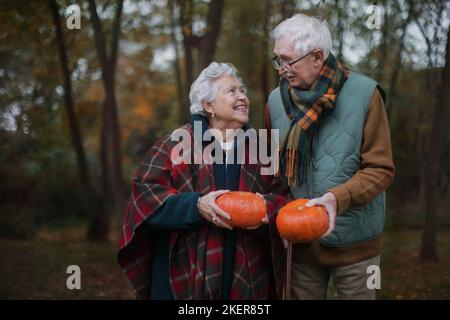 Seniorenpaar mit Kürbissen im Herbstwald. Stockfoto