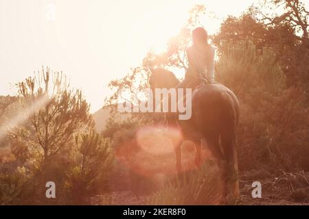 Frau reitet Andalusier Stockfoto