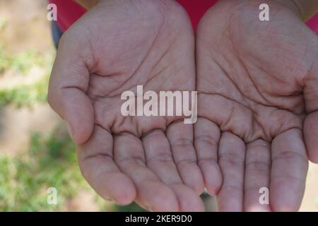 Nahaufnahme der Verbindung zweier Frauenhandflächen nach oben. Bete Hand in der schönen Natur unter Sonnenlicht Stockfoto