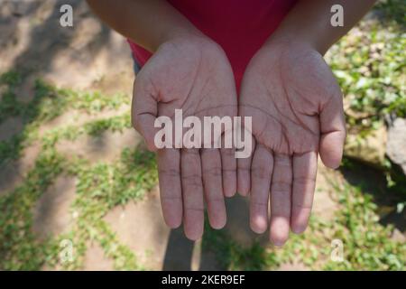 Nahaufnahme der Verbindung zweier Frauenhandflächen nach oben. Bete Hand in der schönen Natur unter Sonnenlicht Stockfoto