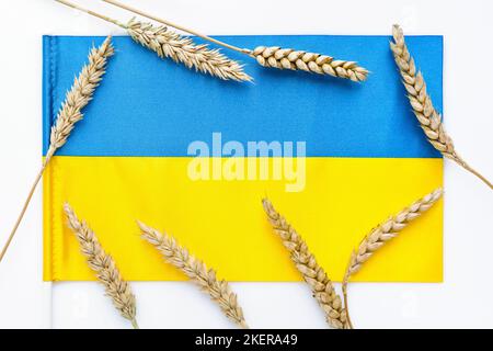 Weizenspikelets mit Flagge der Ukraine isoliert auf weiß. Ernte von Weizen und Ukraine-Konzept Stockfoto