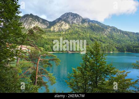 Wunderschöner smaragdgrüner Alpsee in den deutschen Alpen bei den Schlössern Hohenschwangau und Neuschwanstein, Allgau, Bayern, Deutschland, Allgau, Bayern, Germa Stockfoto