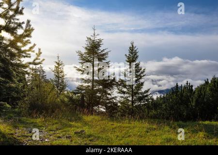 Ein herrlich sonniger Morgen in den Bergen nach dem Regen. Stockfoto