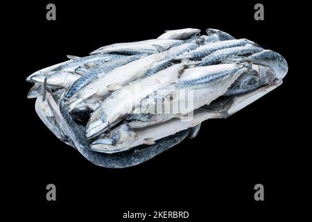 Gefrorene Makrele isoliert. Gefrorene Fischgruppe. Iced Fish. Makrelenhaufen auf schwarzem Hintergrund isoliert. Makrelenmuster. Makrelenstruktur. Fisch-Bac Stockfoto