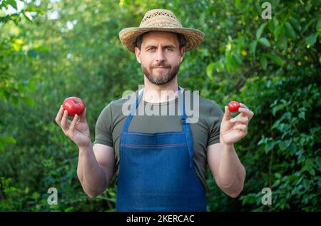 Mann Gemüsehändler in Strohhut mit Tomatengemüse Stockfoto