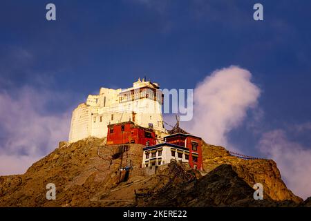 Namgyal Tsemo Gompa (Kloster), Leh, Ladakh, Indien Stockfoto