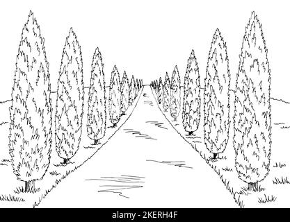Cypress Road Grafik schwarz weiß Landschaft Skizze Illustration Vektor Stock Vektor