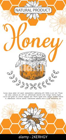 Vektor des Honigfliegers. Naturprodukt handgezeichnete Werbung. Detaillierte gravierte Illustration mit Glas, Wabe, Bieneninsekt und Blume. Imker weit entfernt Stock Vektor