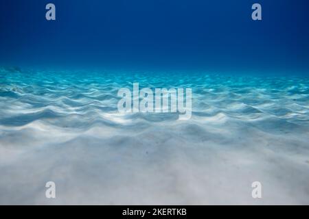 Flache Schärfentiefe klares Meerwasser. Unterwasserhintergrund mit sandigen mediterranen Meeresboden. Stockfoto
