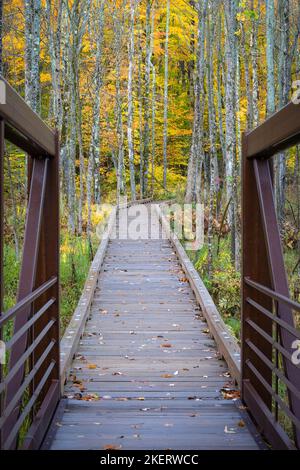 Die Wanderwege in das Erholungsgebiet Saint Peters Dome im Chequamegon-Nicolet National Forest im Norden von Wisconsin werden mit Farbe lebendig. Stockfoto