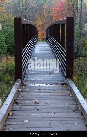 Die Wanderwege in das Erholungsgebiet Saint Peters Dome im Chequamegon-Nicolet National Forest im Norden von Wisconsin werden mit Farbe lebendig. Stockfoto