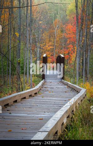 Die Wanderwege in das Erholungsgebiet Saint Peters Dome im Chequamegon-Nicolet National Forest im Norden von Wisconsin werden mit Farbe lebendig. Stockfoto