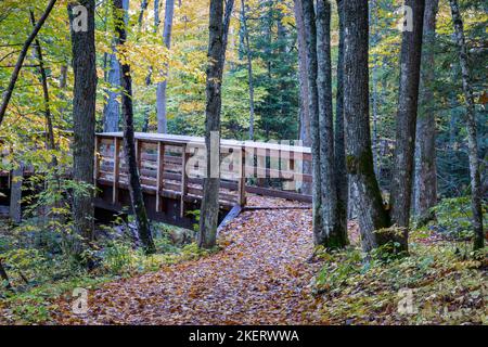 Die Wanderwege in das Erholungsgebiet Saint Peters Dome im Chequamegon-Nicolet National Forest im Norden von Wisconsin werden mit Farbe lebendig. Stockfoto