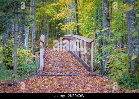 Die Wanderwege in das Erholungsgebiet Saint Peters Dome im Chequamegon-Nicolet National Forest im Norden von Wisconsin werden mit Farbe lebendig. Stockfoto