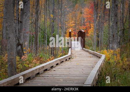 Die Wanderwege in das Erholungsgebiet Saint Peters Dome im Chequamegon-Nicolet National Forest im Norden von Wisconsin werden mit Farbe lebendig. Stockfoto