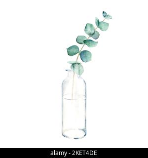 Eukalyptuszweig in Vase, Flasche, Glas. Richtig blau. Aquarell handgezeichnete botanische Illustration isoliert auf weißem Hintergrund. Umweltfreundlicher, minimalistischer Stil Stockfoto