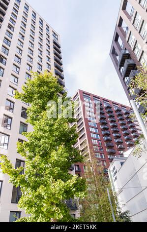 London City Island, ein großes Wohngebiet innerhalb einer Schleife des Flusses lea Stockfoto