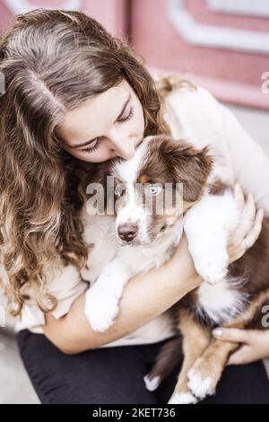 Australian Shepherd Welpen Stockfoto