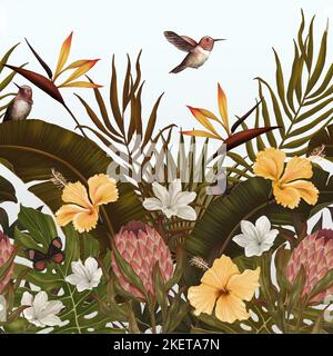 Vintage tropischer Hintergrund mit protea, Hibiskusblüten, Blättern, Kolibris, Schmetterlingen. Nahtloses Borden. Hochwertige Tapete. Handgezogen, 3D illus Stockfoto