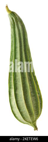 Abgewinkelte Luffa isoliert auf weißem Hintergrund, auch bekannt als geriffelte Kürbis oder chinesische Okra, ganz gesundes Gemüse Stockfoto