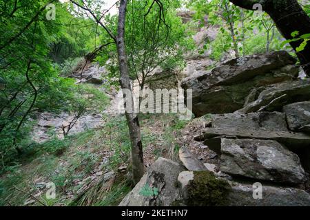 Überreste der eingefallenen Kirche St. Michaels in der Nähe der Höhle, in der die Tradition besagt, dass St. Columban gestorben ist - Coli in der Nähe von Bobbio, Piacenza, Italien Stockfoto