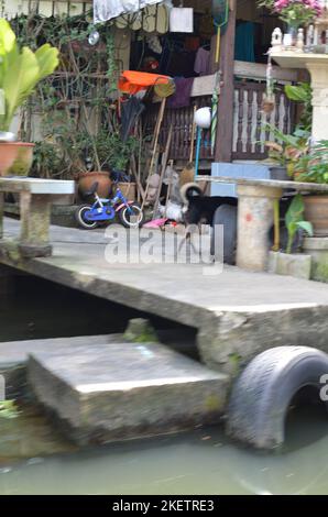 Bangkok lokal Haus Kanal einfach leben Wasser Fluss asiatische Kultur Stockfoto