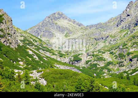 Im Mlynicka-Tal befindet sich der Wasserfall Skok, im Hintergrund der Strbsky Stit. (CTK-Foto/Jan Rychetsky) Stockfoto