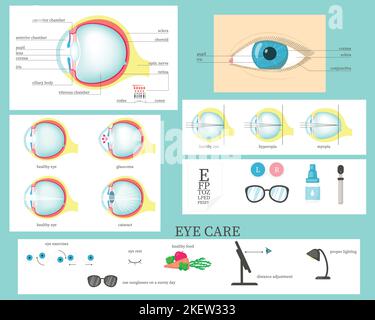 Menschliche Augenstrukturdiagramme, Krankheiten und Störungen, Augenpflege und medizinische Infografiken für Brillen. Vektor-Design im flachen Stil. Stock Vektor