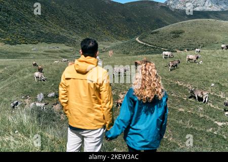 Dunkelhaariger Junge mit gelber Jacke und blondes Mädchen mit blauer Jacke aus dem Fokus von hinten mit Händen stehend betrachten die Kühe in der Stockfoto