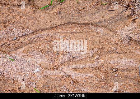 Sandkies mit Regenwasserabflussspuren. Stockfoto